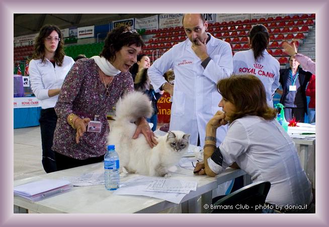 Foto successiva